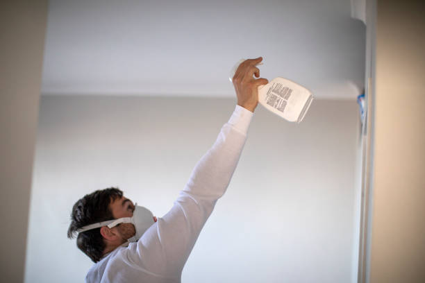 Best Industrial Mold Remediation in Long Beach, CA