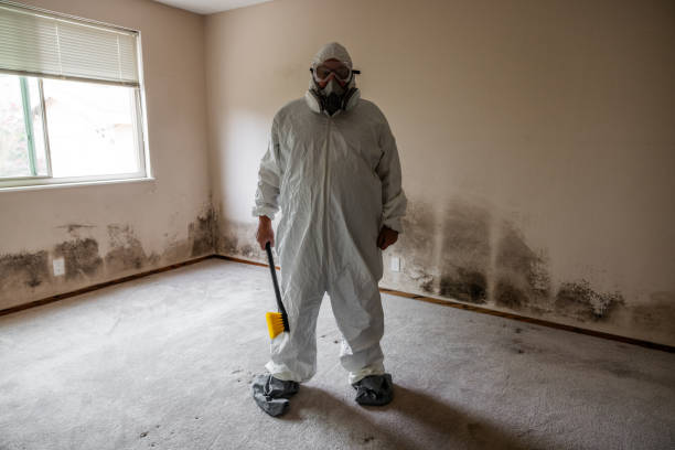 Best Emergency Mold Remediation in Long Beach, CA